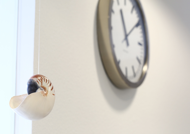 Unser Praxis-Symbol - Symbol für Symmetrie, Komplexität und Schönheit