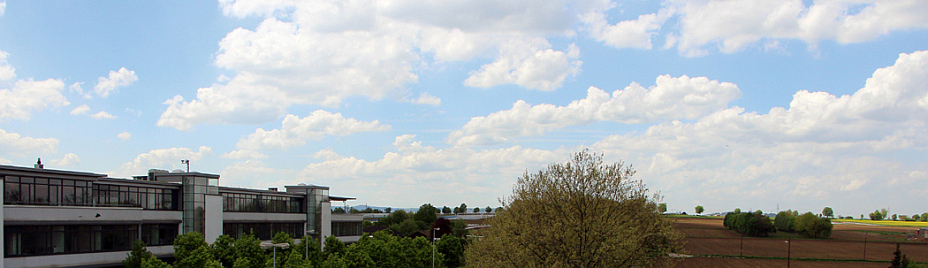 Fensterblick